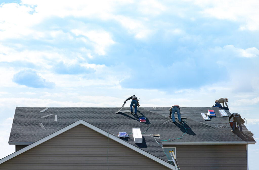 Professional Roofing Contractors