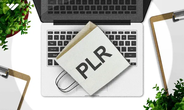 plrdigitalproducts.net