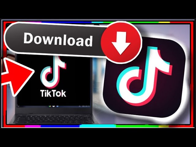 TikTok Videos