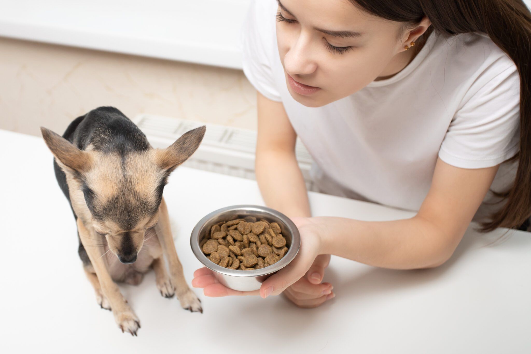 Pet Food Reviews